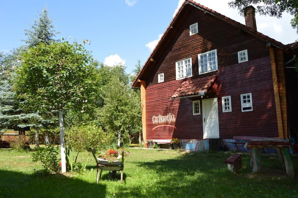 Cabanita Villa Întorsura Buzăului Exteriör bild