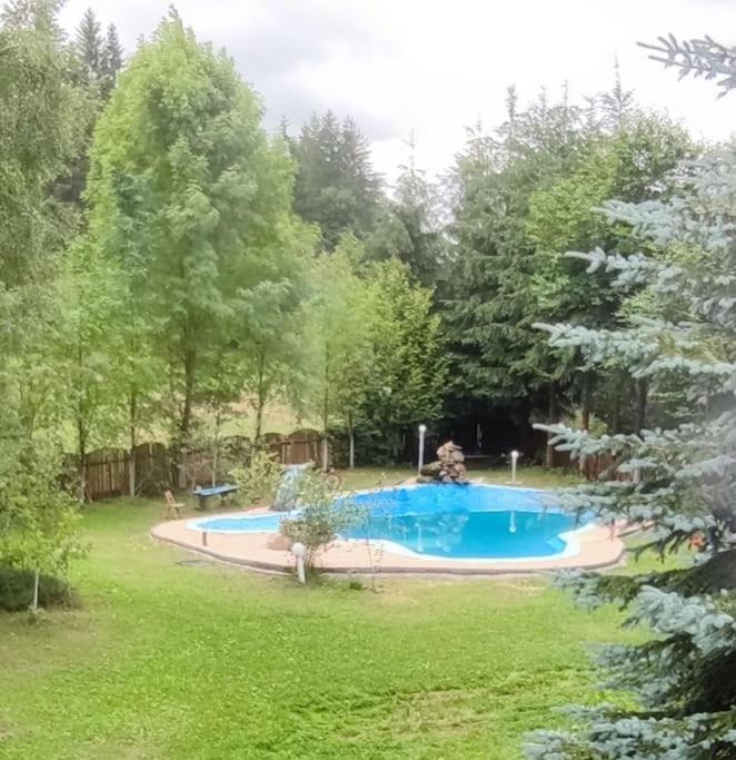 Cabanita Villa Întorsura Buzăului Exteriör bild