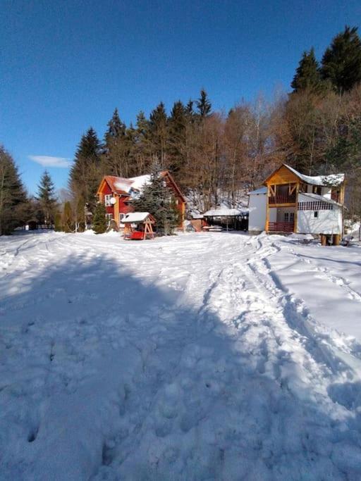 Cabanita Villa Întorsura Buzăului Exteriör bild