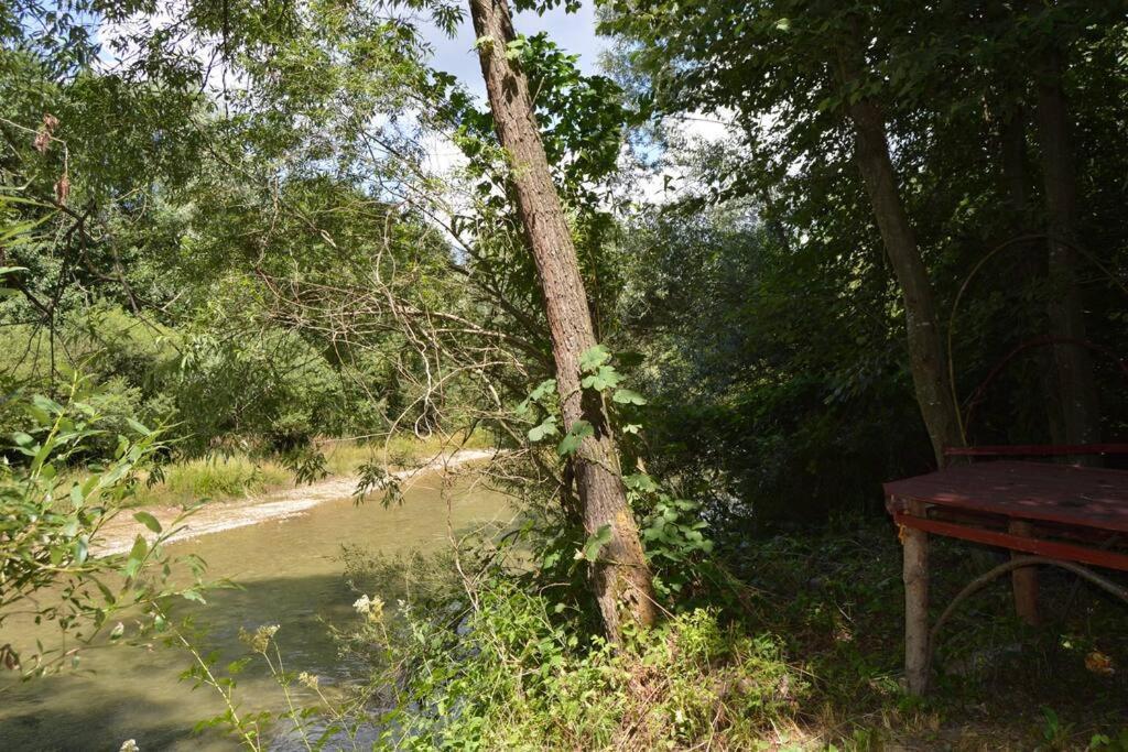 Cabanita Villa Întorsura Buzăului Exteriör bild