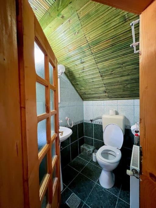 Cabanita Villa Întorsura Buzăului Exteriör bild