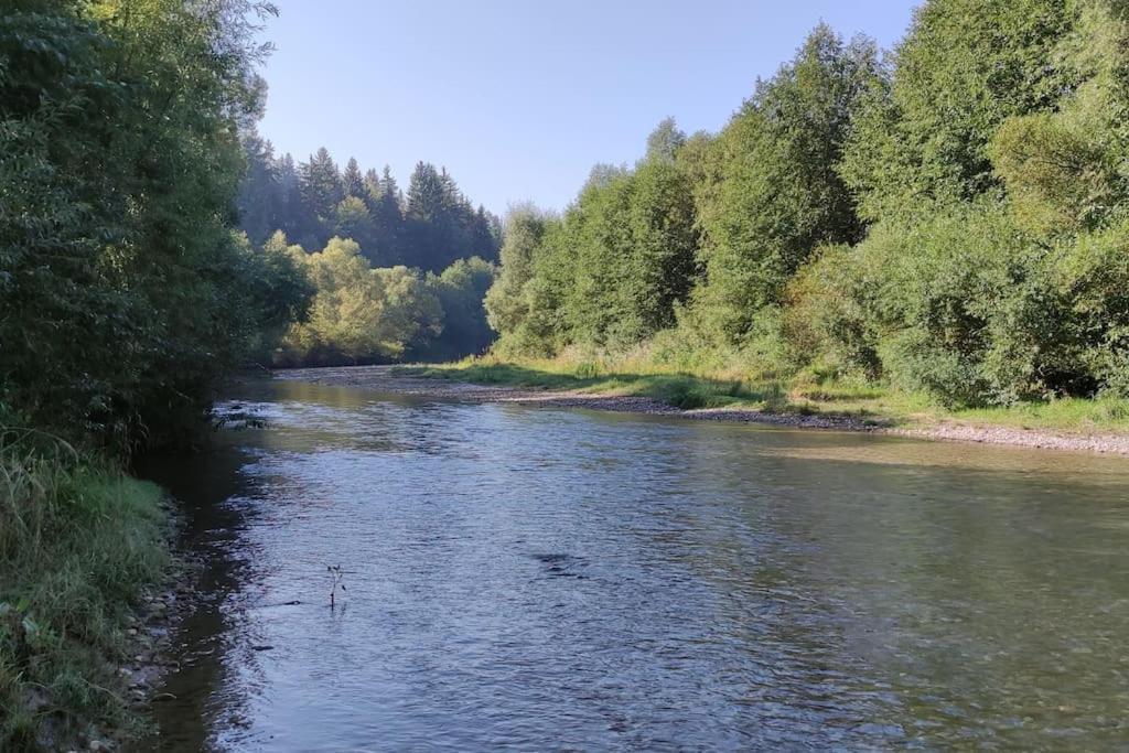Cabanita Villa Întorsura Buzăului Exteriör bild