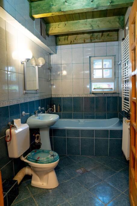 Cabanita Villa Întorsura Buzăului Exteriör bild