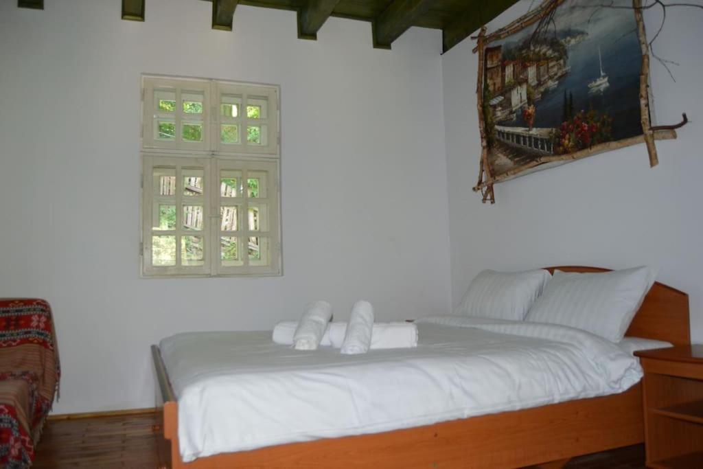 Cabanita Villa Întorsura Buzăului Exteriör bild