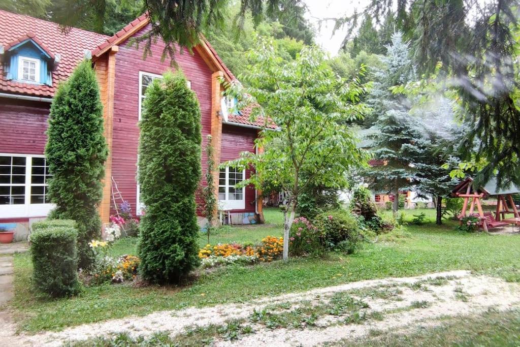 Cabanita Villa Întorsura Buzăului Exteriör bild