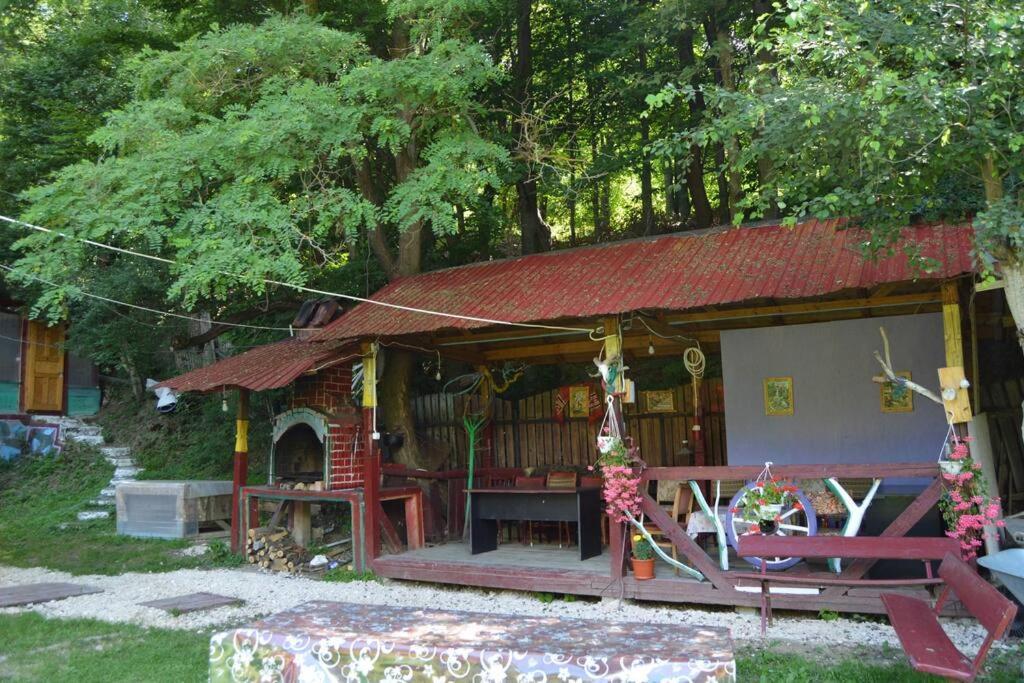 Cabanita Villa Întorsura Buzăului Exteriör bild