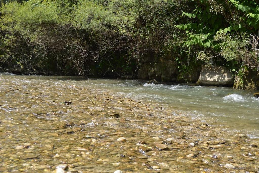Cabanita Villa Întorsura Buzăului Exteriör bild